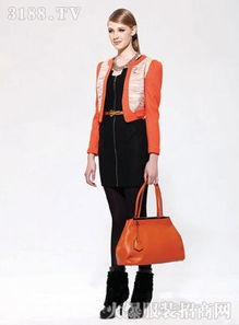 芳菲兒品牌女裝針織品 優(yōu)雅設(shè)計(jì)與加盟前景解析